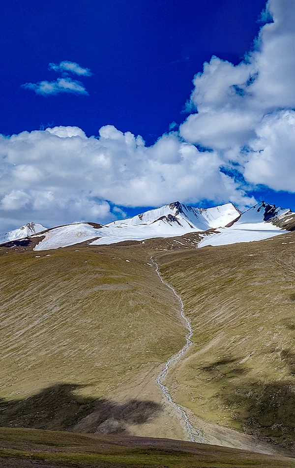 Dzo Jongo East Peak with Markha Valley Trek